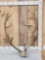 Caribou Antlers On Skull Plate