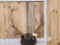 5x5 Elk Antlers On Plaque