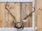 Caribou Antlers On Plaque