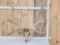 GIANT 470 Class Nontypical Elk Antler On Skull