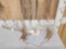 2 Nice Wild Whitetail Shed Antlers