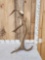 7 Point Self Standing Elk Shed Antler