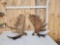 Big 40.8 Lbs Set Of Alaskan Moose Antlers