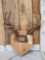 4x4 Whitetail Antlers On Plaque
