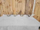 4 Sets Of Whitetail Antlers On Skull Plate