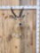 African Reedbuck Shoulder Mount Taxidermy