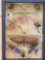 Frame Of 10 Exotic Insects Taxidermy