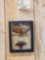 Giant Peruvian Grasshopper & Beetle In Glass Frame