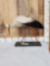 White Stork Full Body Bird Taxidermy