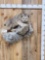Alaskan Lynx Full Body Taxidermy Mount