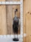 African Crowned Crane Full Body Bird Taxidermy