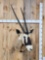 African Gemsbok Shoulder Mount Taxidermy