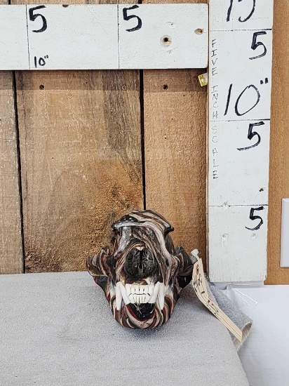 Black Bear Skull Taxidermy