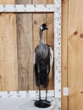 African Crowned Crane Full Body Bird Taxidermy
