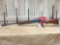 Browning A5 Light Twelve 12ga Semi Auto Shotgun Mfg 1954