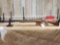CZ Model 550 Magnum 416 Rigby Bolt Action Rifle