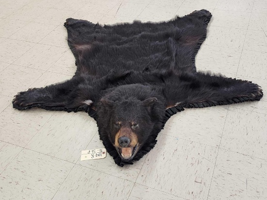 Black Bear Rug Taxidermy