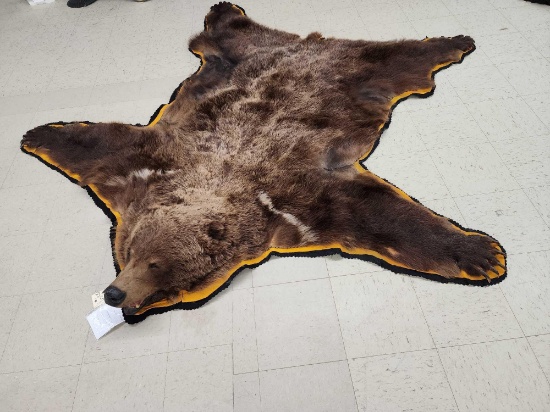 Alaskan Grizzly Bear Rug Taxidermy