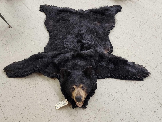 Black Bear Rug Taxidermy