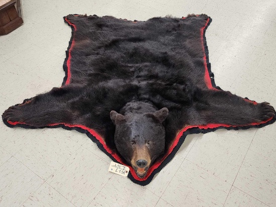Big Black Bear Rug Taxidermy