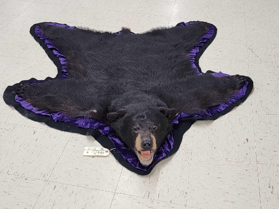 Black Bear Rug Taxidermy