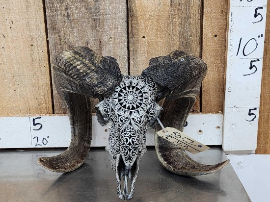 Spectacular Hand Carved Ram Sheep Skull Taxidermy