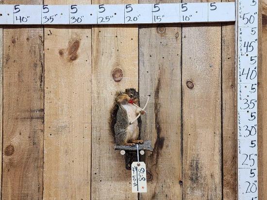 Bow Hunting Squirrel Taxidermy Mount