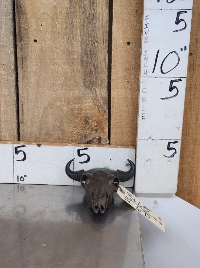 Bronze Bison Skull Sculpture