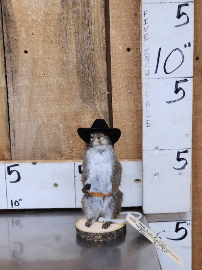 Sheriff Squirrel Taxidermy Mount
