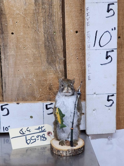 Fishing Squirrel Full Body Taxidermy Mount