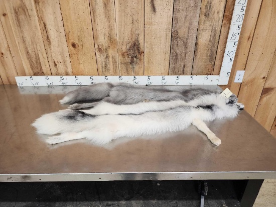 2 Ranch Fox Soft Tanned Furs