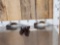 2 Fixed Blade Antler Handle Knives