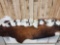 Collection Of 24 Outboard Boat Motor Props