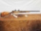 Spectacular Weatherby Mark V 300 Weatherby Magnum Weatherby Custom Bolt Action Rifle