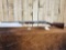 Winchester Model 1897 12ga Pump Shotgun