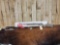 Ruger Model 10/22 .22 Semi Auto Rifle Stainless