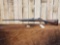 Remington Model 700 30-06 Bolt Action Rifle