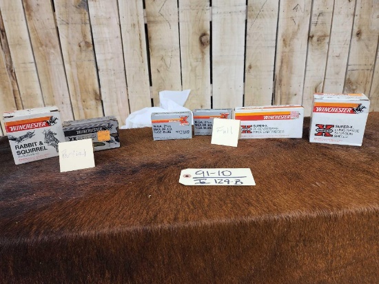 Miscellaneous Ammunition Lot