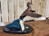 Ducks Unlimited Bronze 