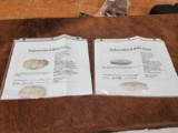 Adena Preform & Table Rock Stone Points Native American Artifact