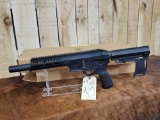 Patriot Ordinance Factory Model P-SG-22 .22 semi Auto Pistol