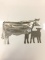 Cow & Calf Silhouette