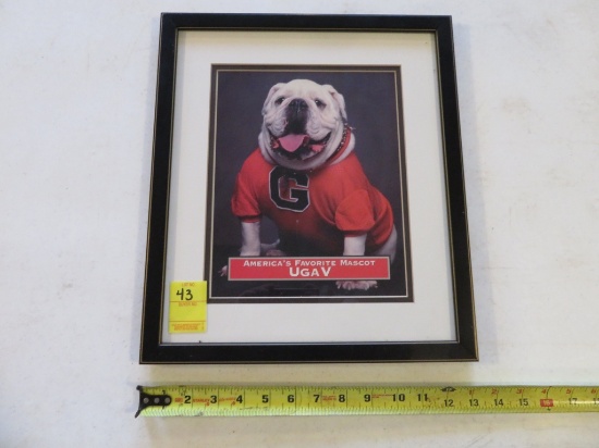 UGA V Mascot