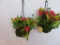 2 National Tree Co Artificial Hanging Plants