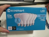 Ecosmart 6 pack of LED Bulbs