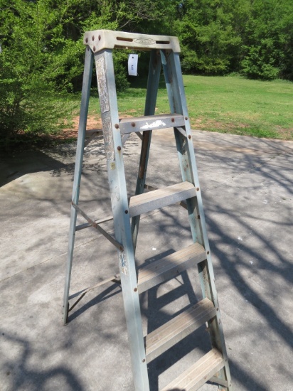 Werner 6 ft Step Ladder