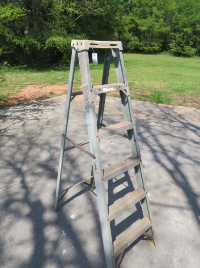 Werner 6 ft Step Ladder