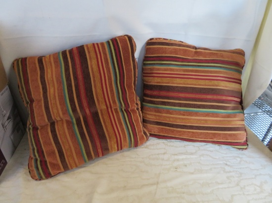 2 Decorative Pillows