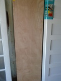 Steves 24 x 80 Flush Interior Door