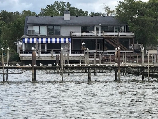 Waterfront Restaurant and Bar